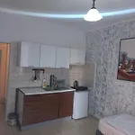 塞得海豚酒店