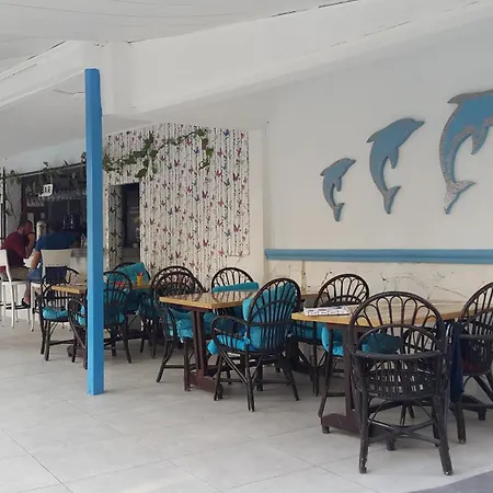Delphin 시데