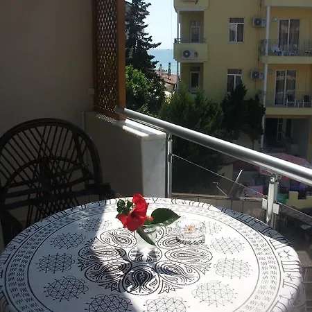 ホテル Delphin 2*